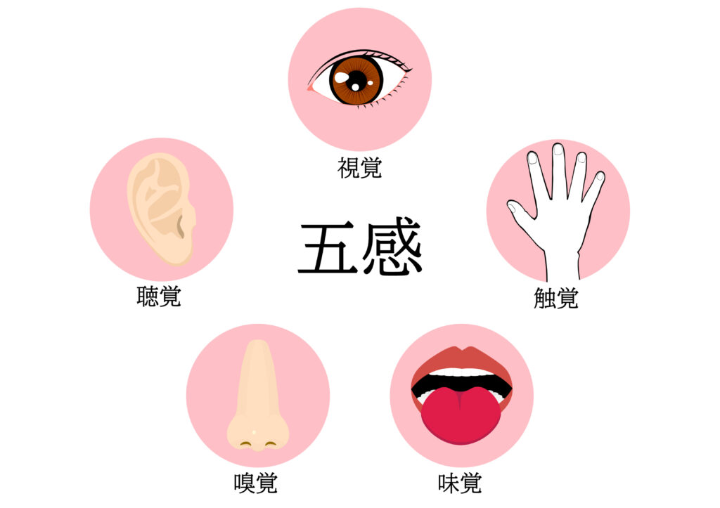 発達の鍵は「見る力」だった