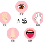 発達の鍵は「見る力」だった