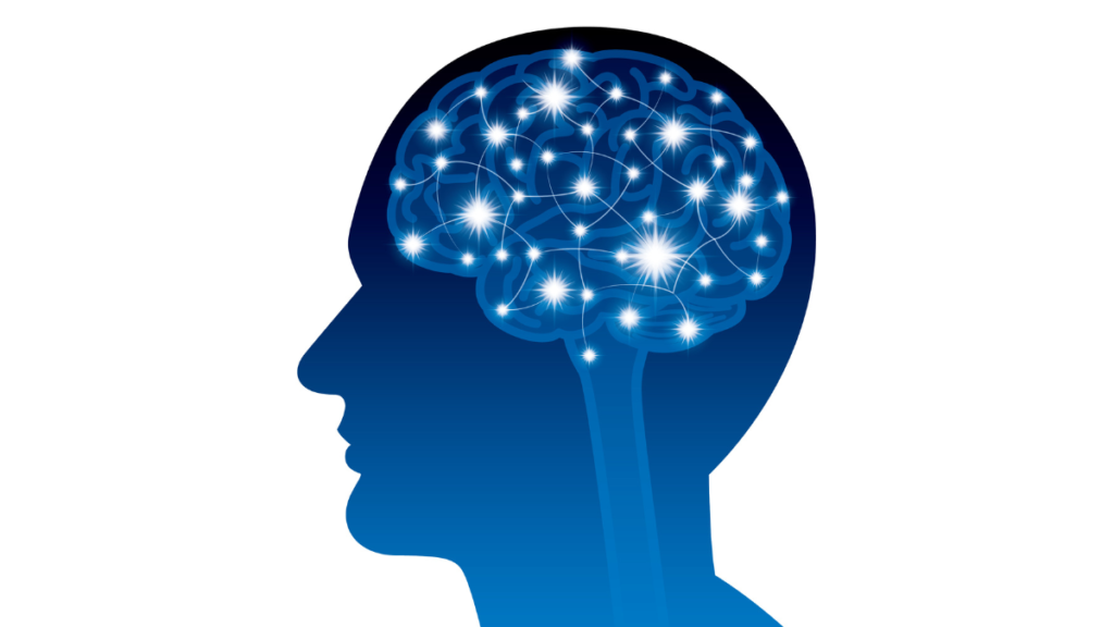 目から脳のワーキングメモリを支援