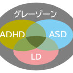 グレーゾーンと視覚機能の関連性
