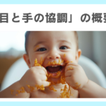 「目と手の協調」の概要と実践的工夫の必要性