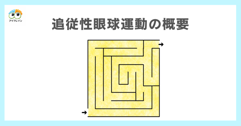 「追従性眼球運動」の概要と実践的工夫の必要性