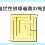 「追従性眼球運動」の概要と実践的工夫の必要性