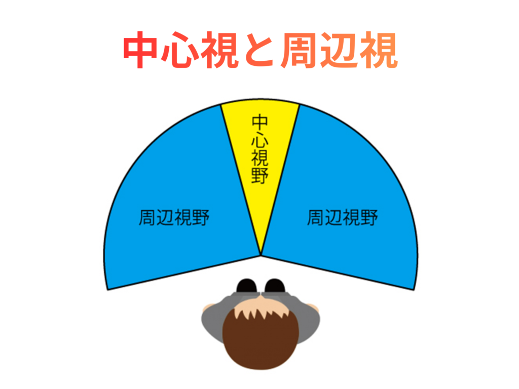 神経発達症の中心視と周辺視
