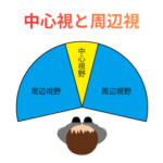 神経発達症の中心視と周辺視