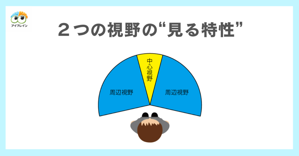 中心視と周辺視、視野から読み解く発達障害児の“見る特性”