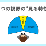 中心視と周辺視、視野から読み解く発達障害児の“見る特性”