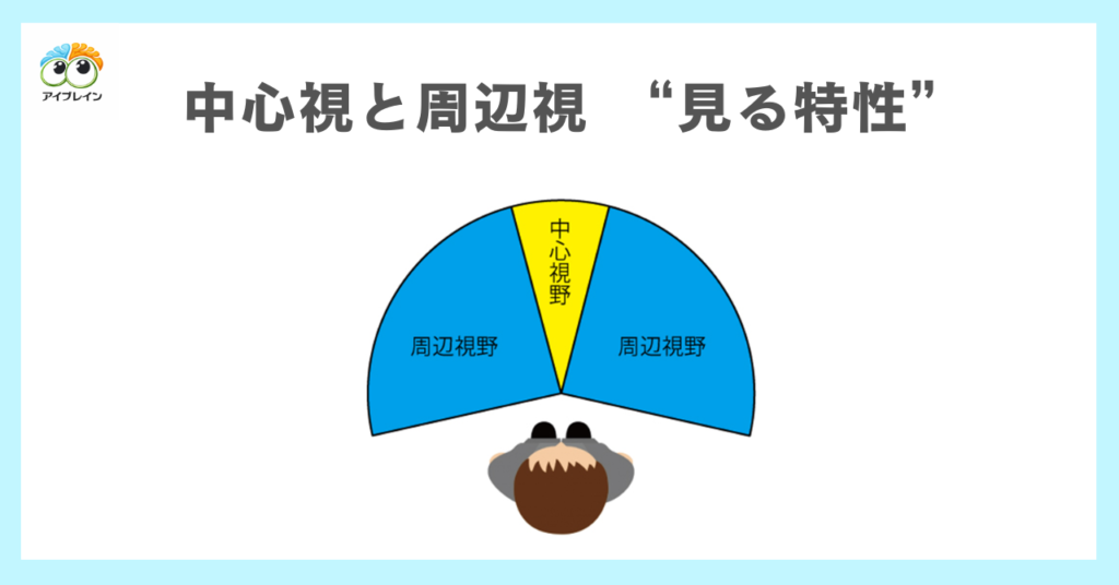 中心視と周辺視、視野から読み解く発達障害の“見る特性”