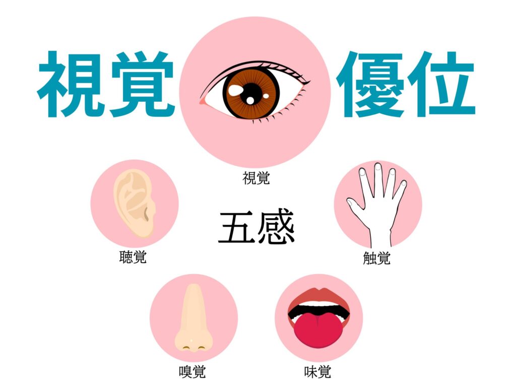 発達障害と視覚優位