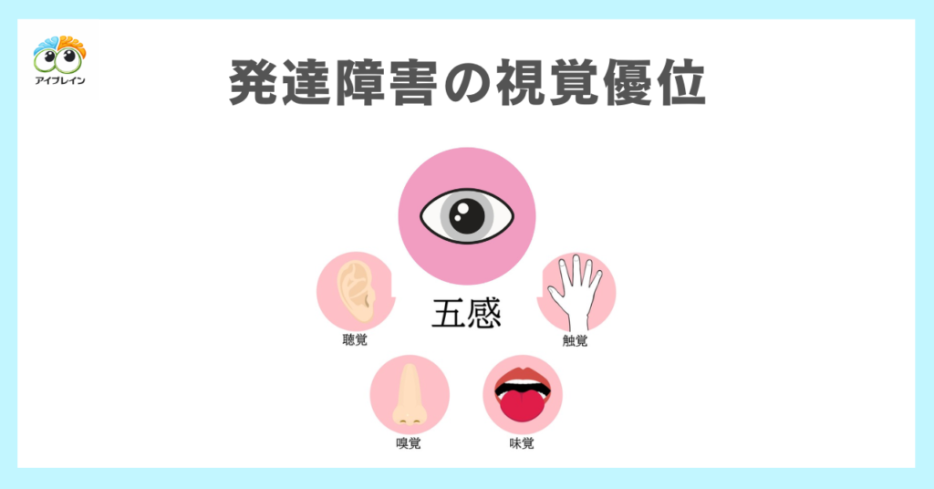 発達障害児の視覚優位とビジョントレーニング